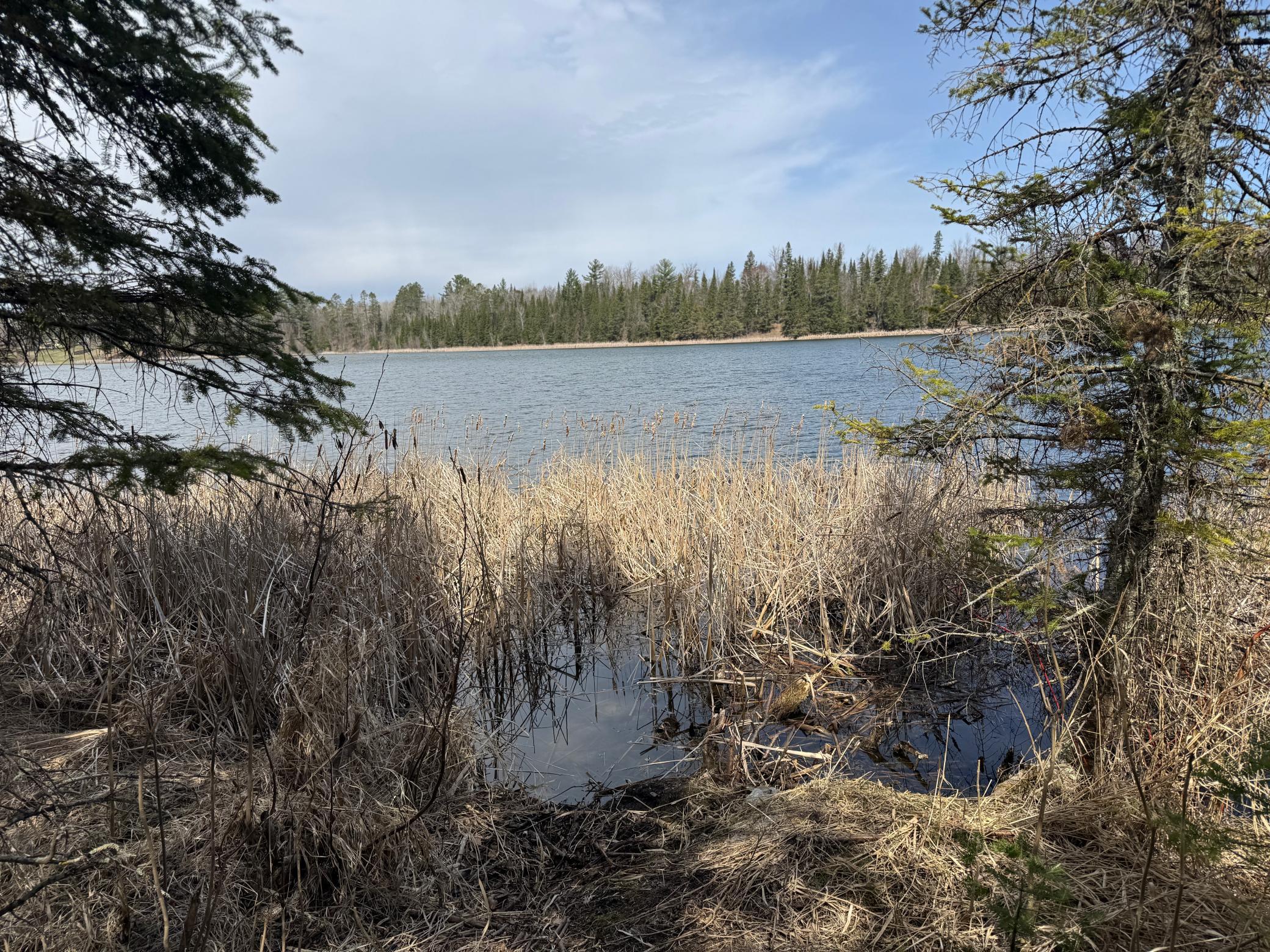 2 Bagley Mn 56621 Bagley, MN 56621 - Photo 26 of 37