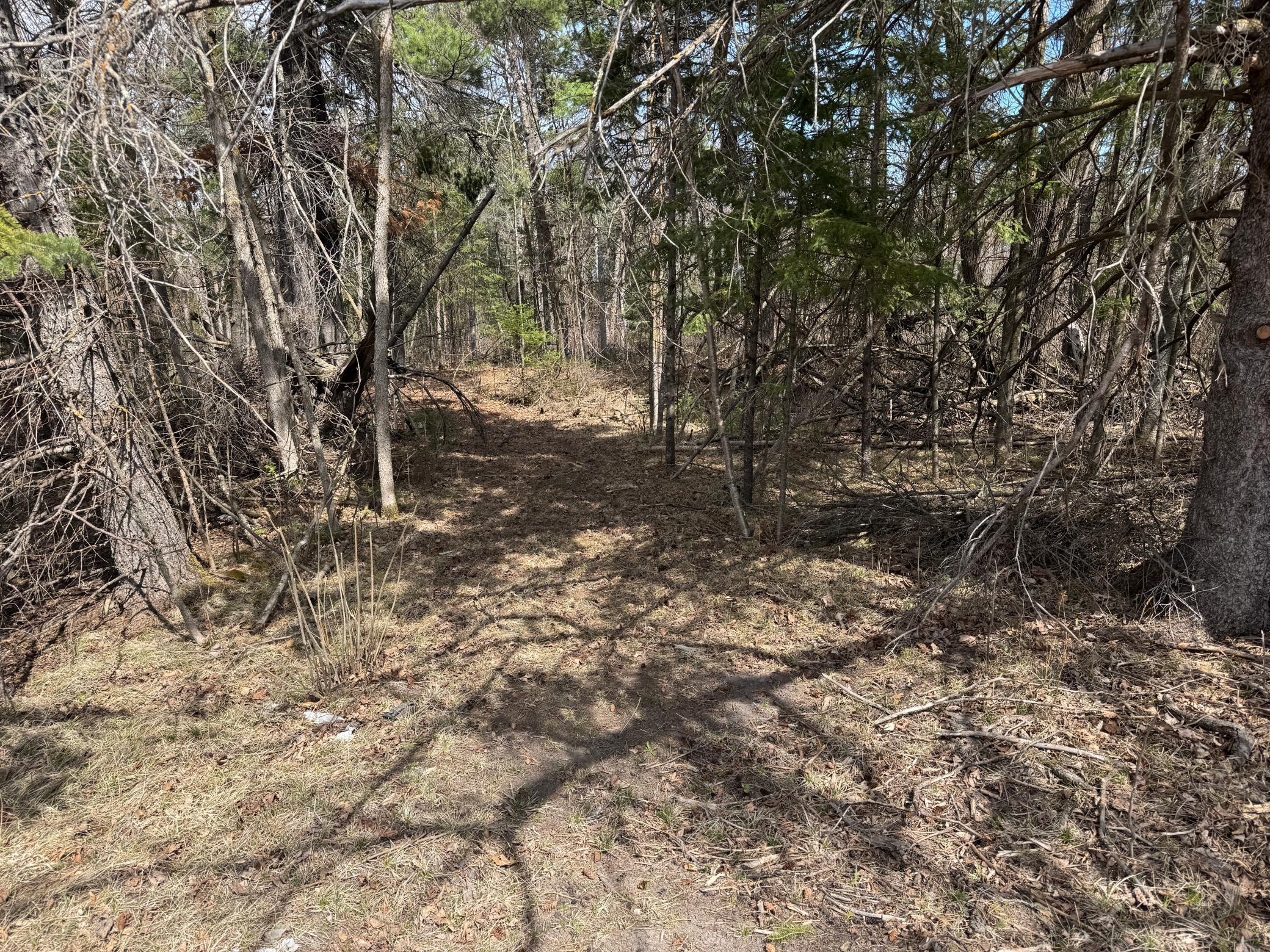 2 Bagley Mn 56621 Bagley, MN 56621 - Photo 29 of 37