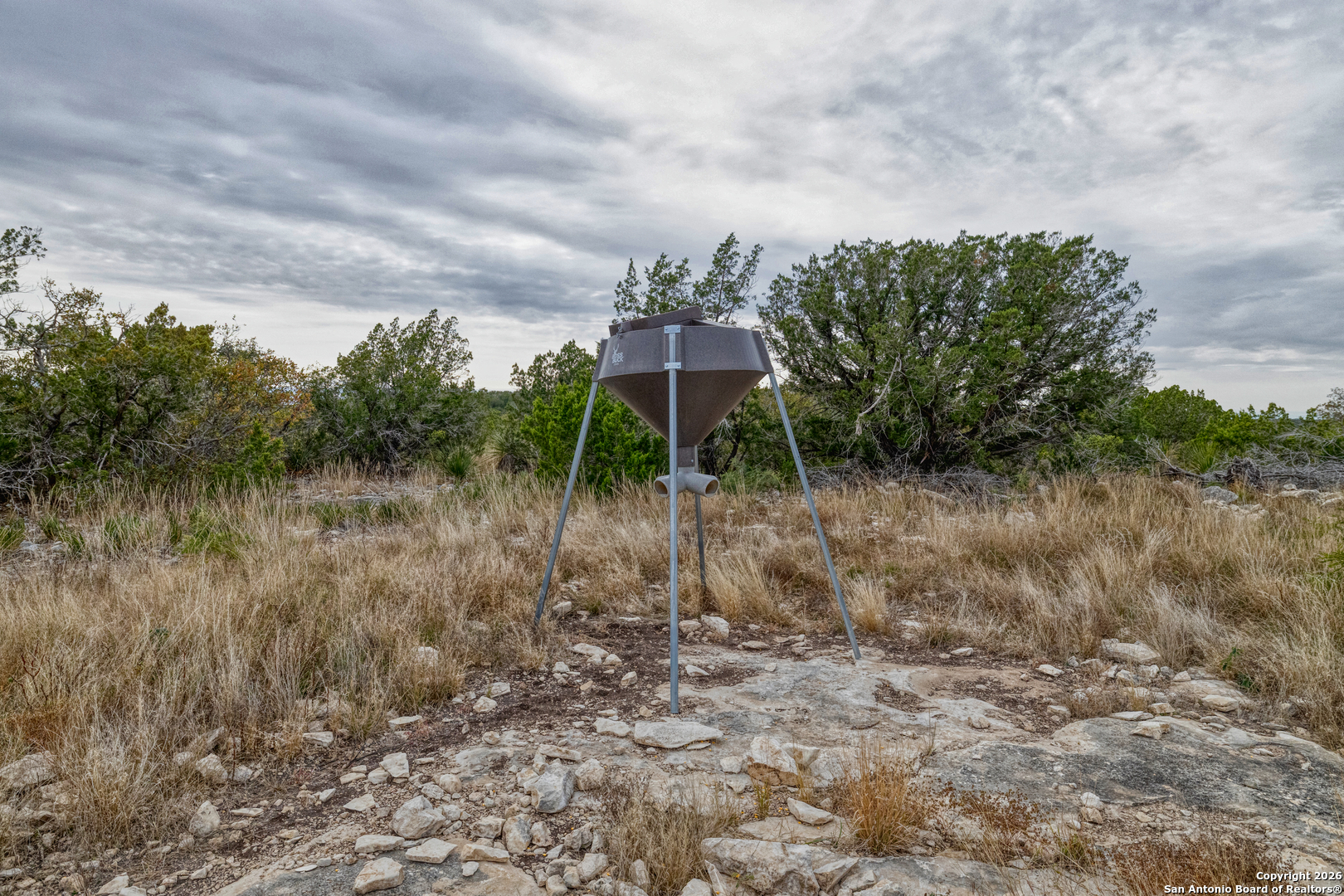 25 Sd 65065 Dusty Rose Ranch Rocksprings, TX 78880 - Photo 28 of 66