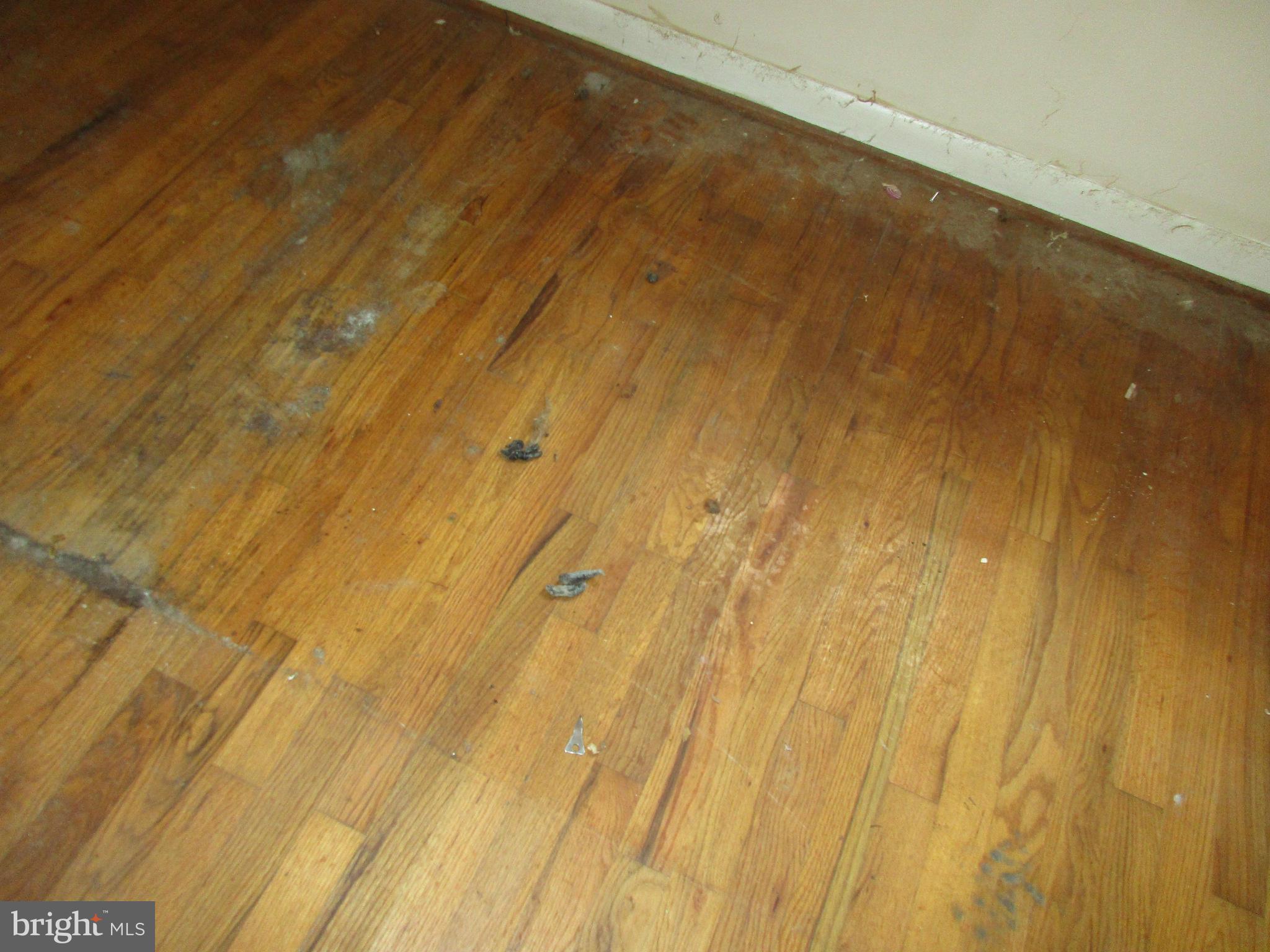 320 Kenmore Avenue Edgewater, MD 21037 - Photo 13 of 13 Interior (General)
