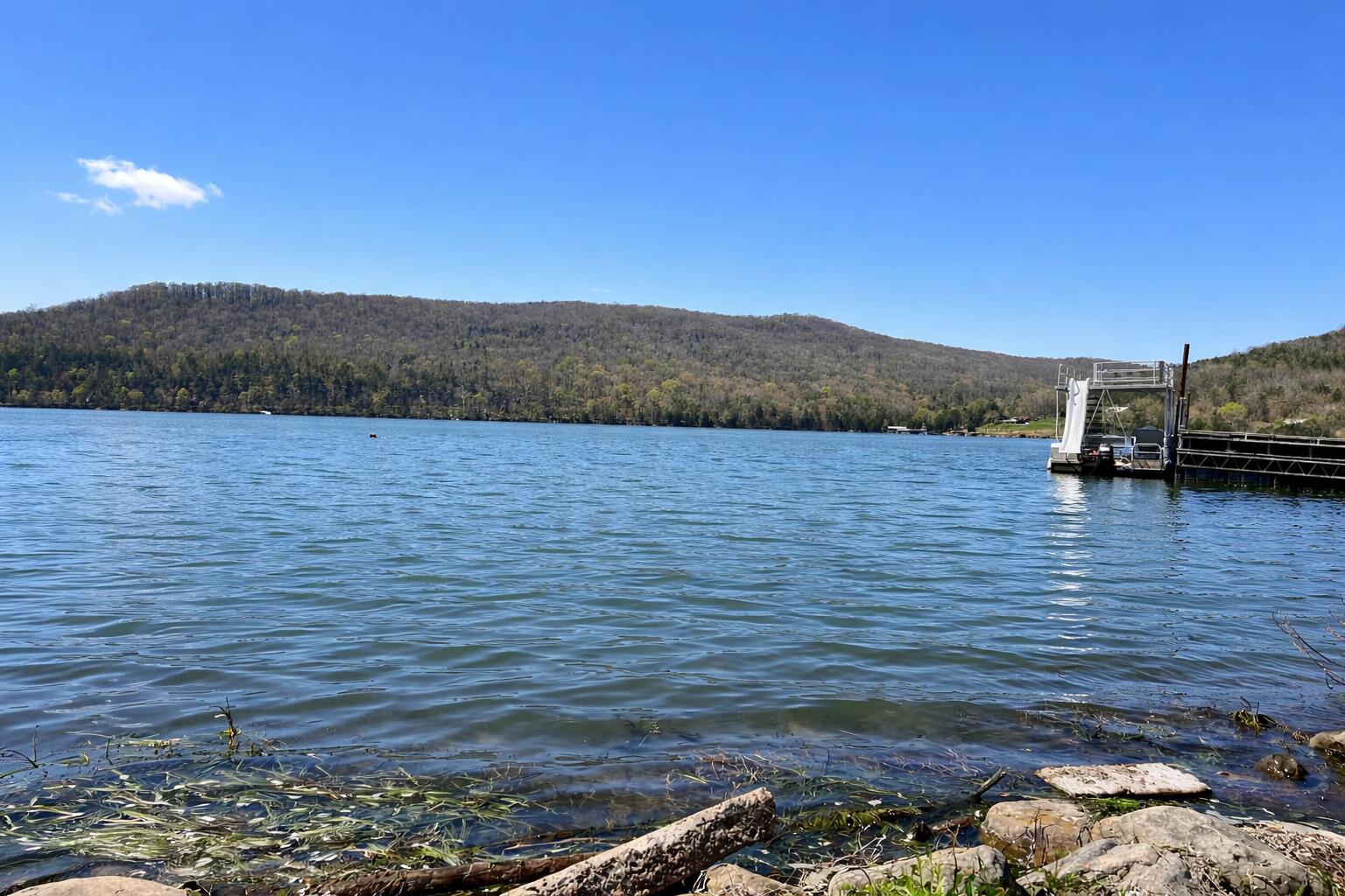 166 Hales Bar Road Guild, TN 37340 - Photo 12 of 12 edited hale bar