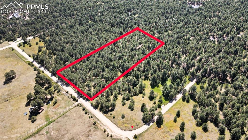 18390 Black Squirrel Road Colorado Springs, CO 80908 - Photo 2 of 10