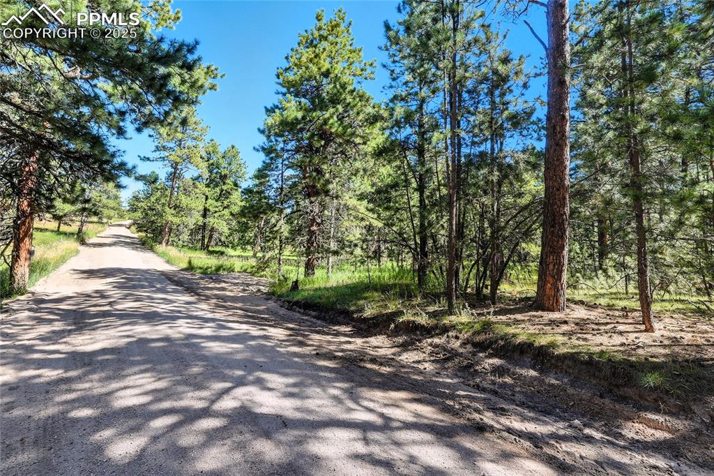 18390 Black Squirrel Road Colorado Springs, CO 80908 - Photo 5 of 10 a view of a yard with plants and trees