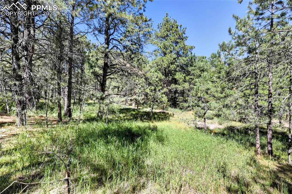 18390 Black Squirrel Road Colorado Springs, CO 80908 - Photo 8 of 10 a view of a lake view