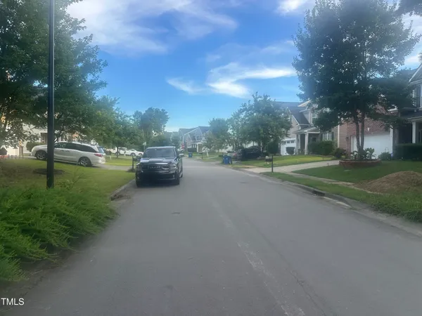 a view of a park with large trees