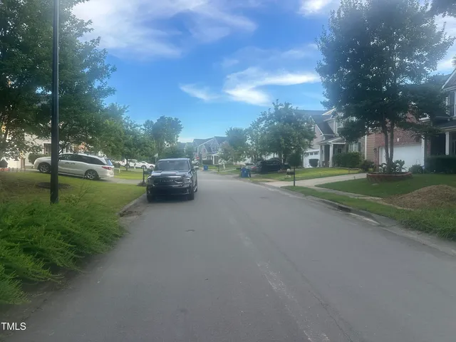a view of a park with large trees