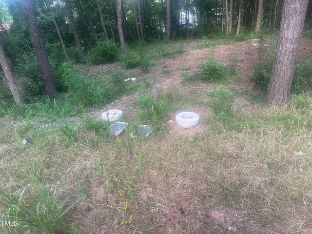 a view of a yard with a trees