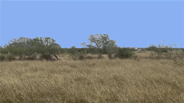 $120,000 | 0 County Road 2431, Sinton, TX 78387