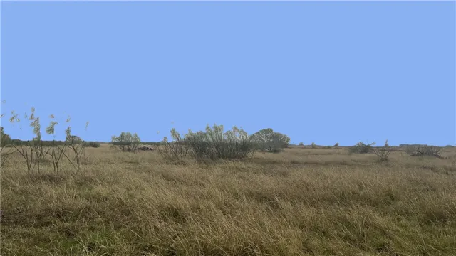 $120,000 | 0 County Road 2431, Sinton, TX 78387