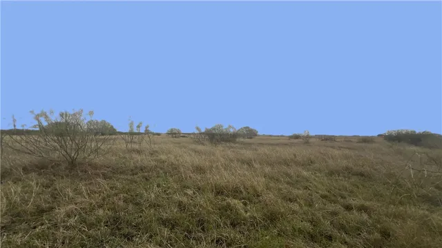 $120,000 | 0 County Road 2431, Sinton, TX 78387