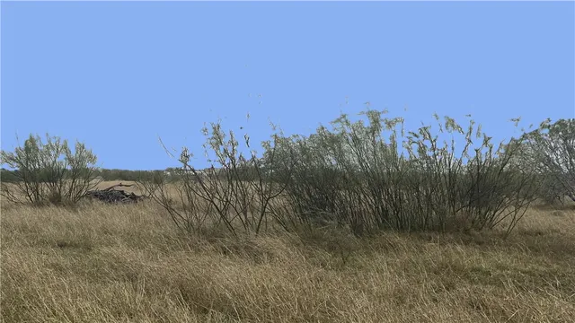 $120,000 | 0 County Road 2431, Sinton, TX 78387