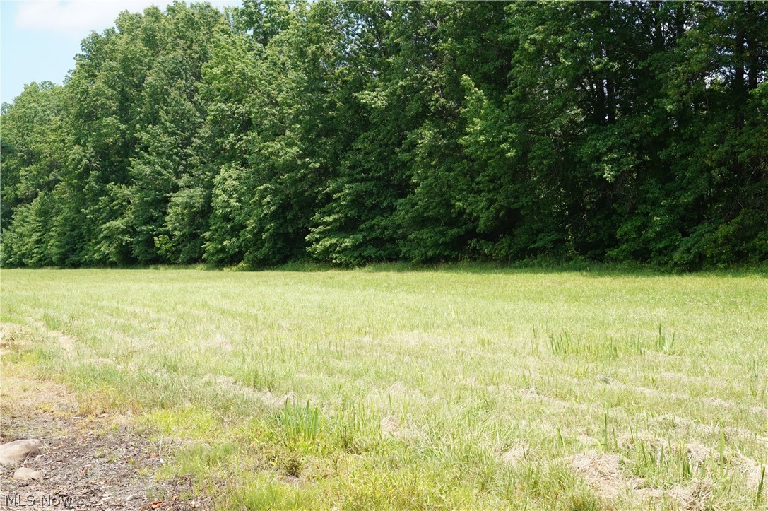 6019 New London Road Ashtabula, OH 44004 - Photo 44 of 47