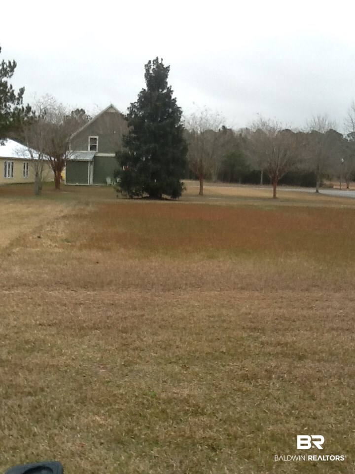 Bv Lot 49 Bv Circle Foley, AL 36535 - Photo 2 of 3