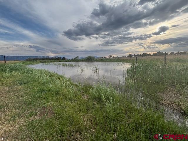 34099 Rd M Mancos, CO 81328 - Photo 3 of 35