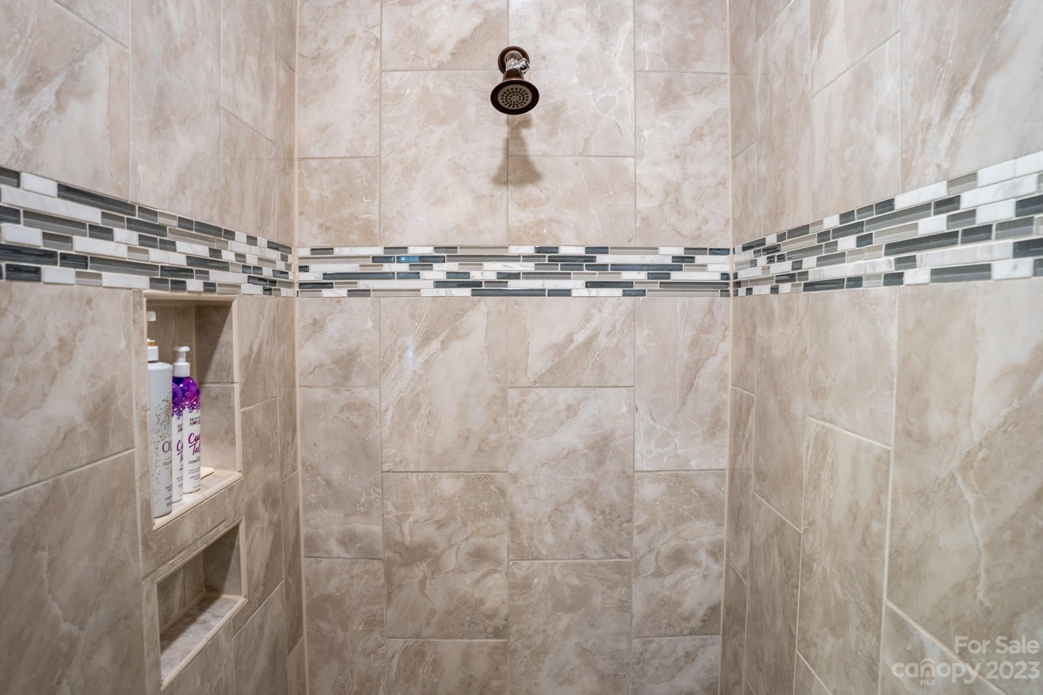 1411 Mary Ellen Drive Fort Mill, SC 29708 - Photo 29 of 37 a close view of shower tap