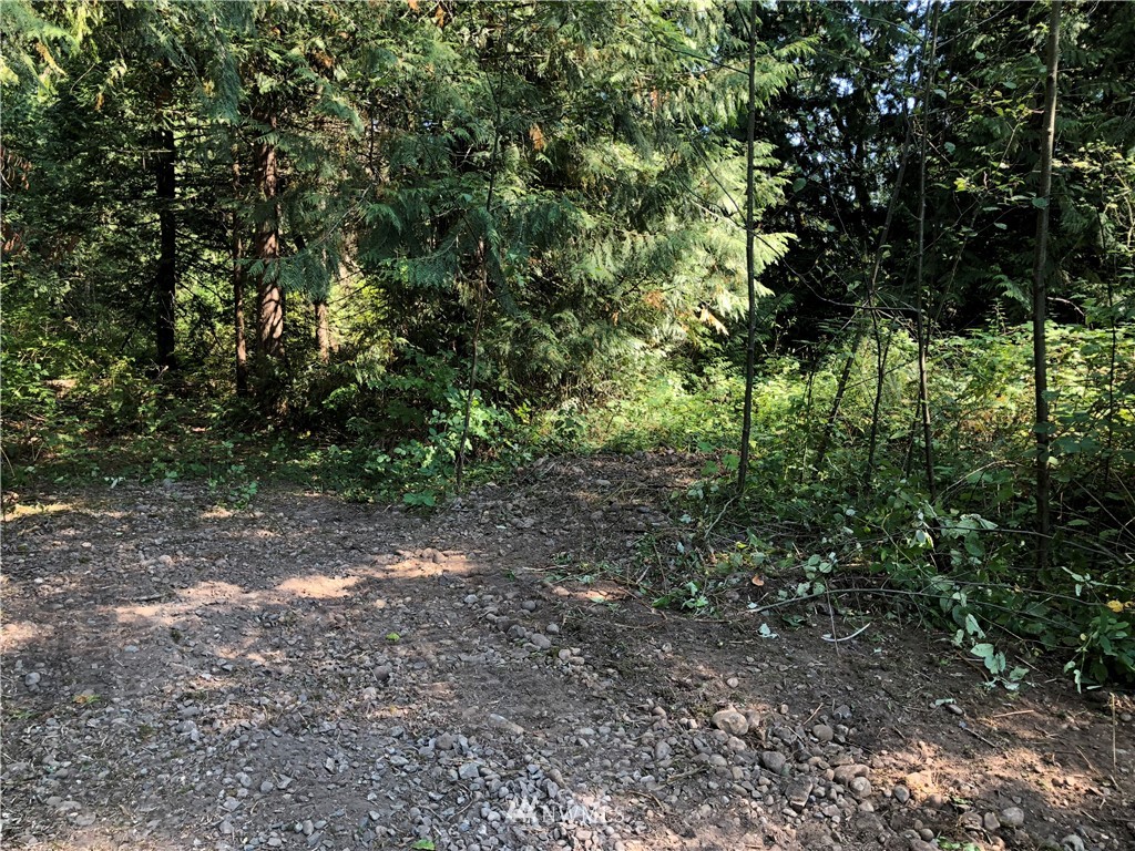 0 134th Avenue East Graham, WA 98338 - Photo 2 of 12