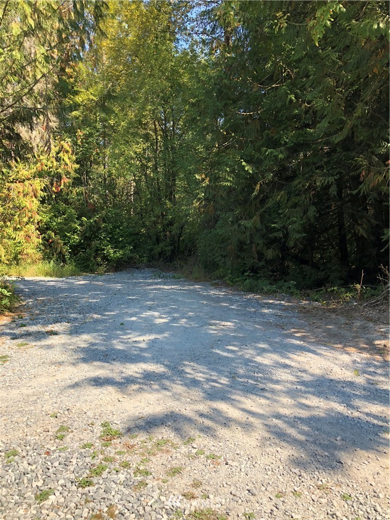 0 134th Avenue East Graham, WA 98338 - Photo 11 of 12