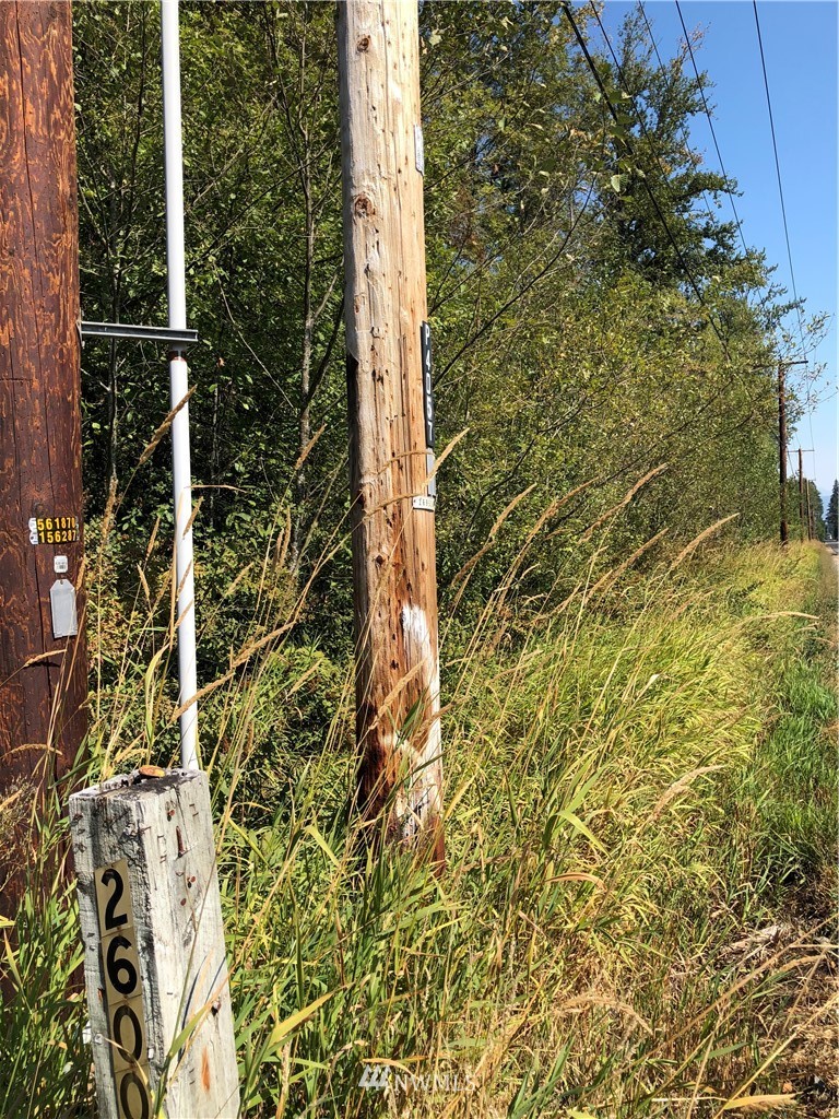 0 134th Avenue East Graham, WA 98338 - Photo 12 of 12