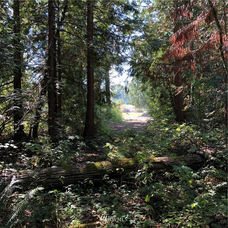 0 134th Avenue East Graham, WA 98338 - Photo 4 of 12