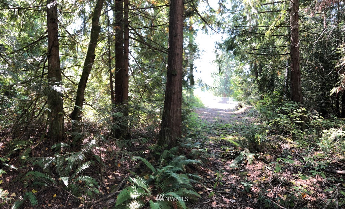 0 134th Avenue East Graham, WA 98338 - Photo 5 of 12