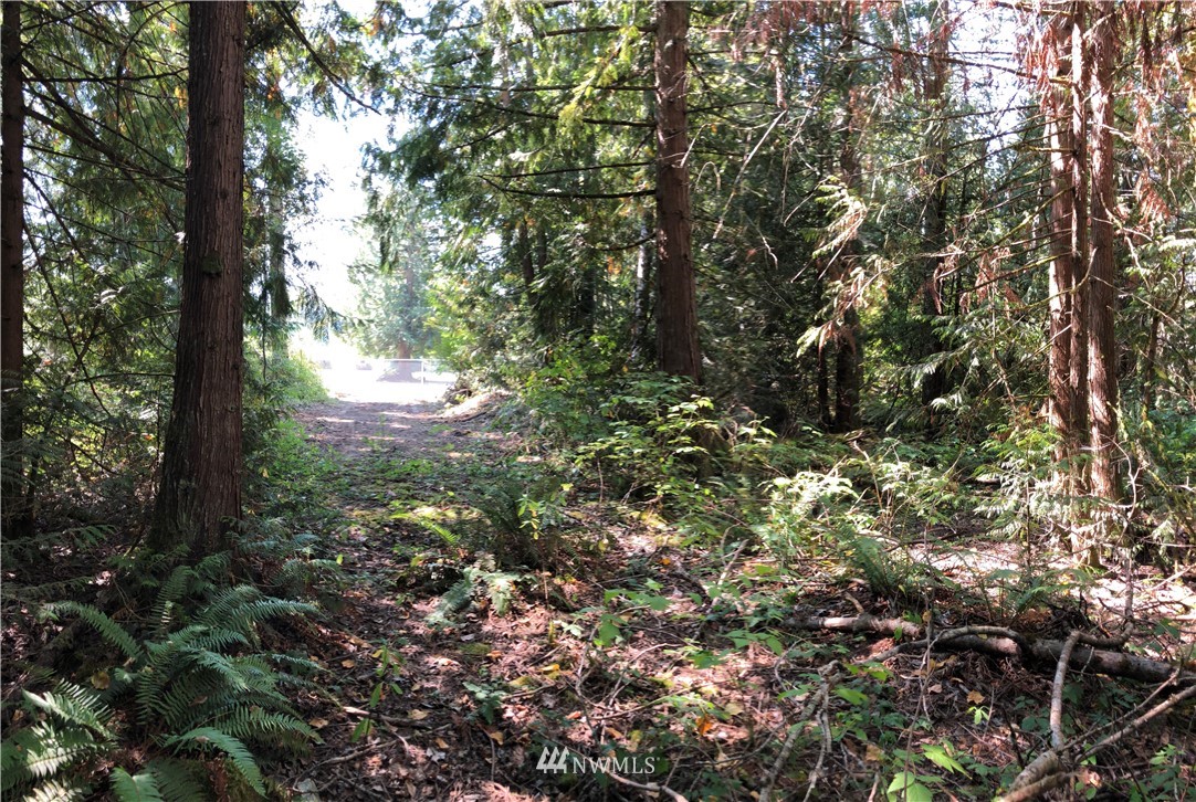 0 134th Avenue East Graham, WA 98338 - Photo 6 of 12