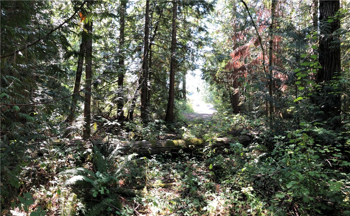 0 134th Avenue East Graham, WA 98338 - Photo 7 of 12