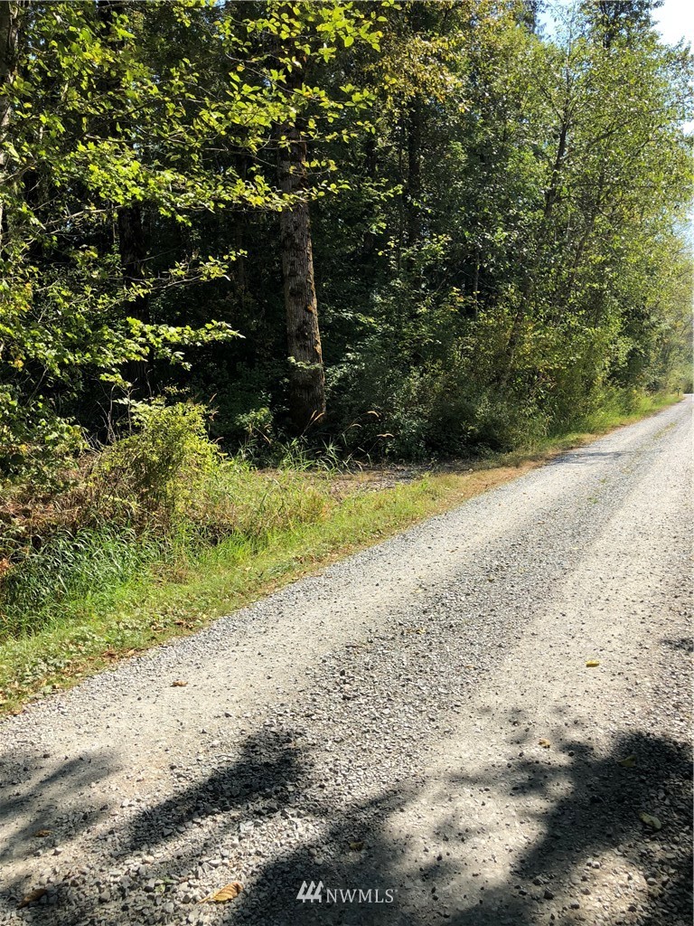 0 134th Avenue East Graham, WA 98338 - Photo 9 of 12