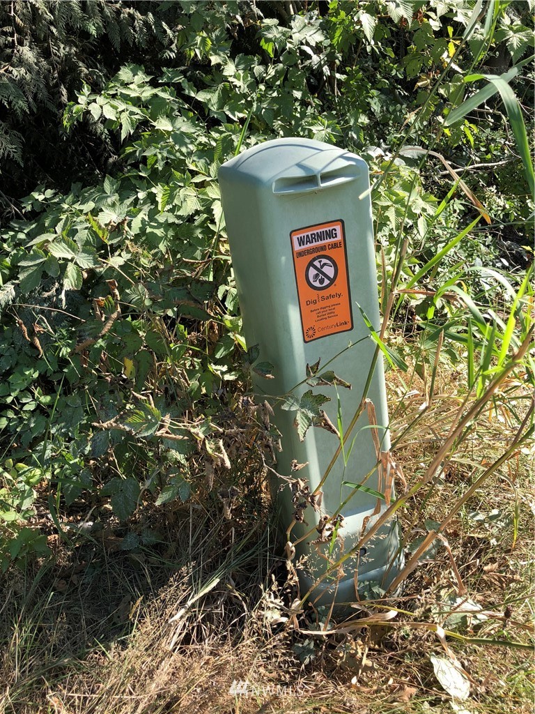 0 134th Avenue East Graham, WA 98338 - Photo 10 of 12