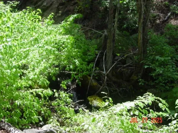 $1,000,000 | 2729 Water Way, Clio, CA 96106