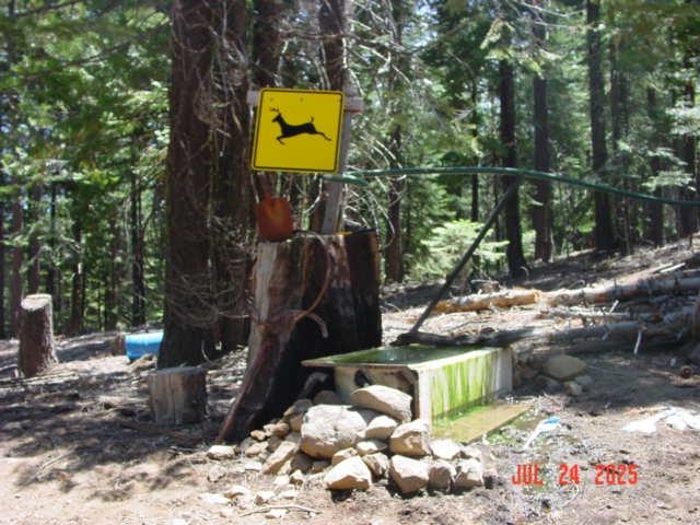 2729 Water Way Clio, CA 96106 - Photo 10 of 17