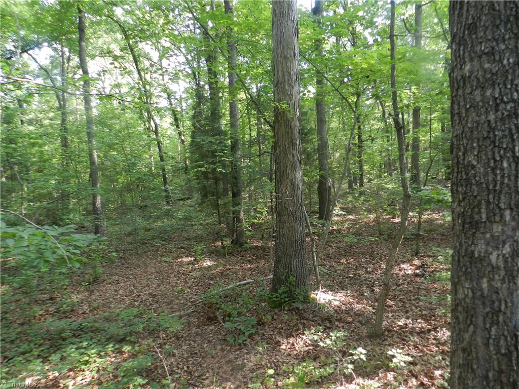 0 Dogwood Road Denton, NC 27239 - Photo 14 of 20 Gallery Image 14