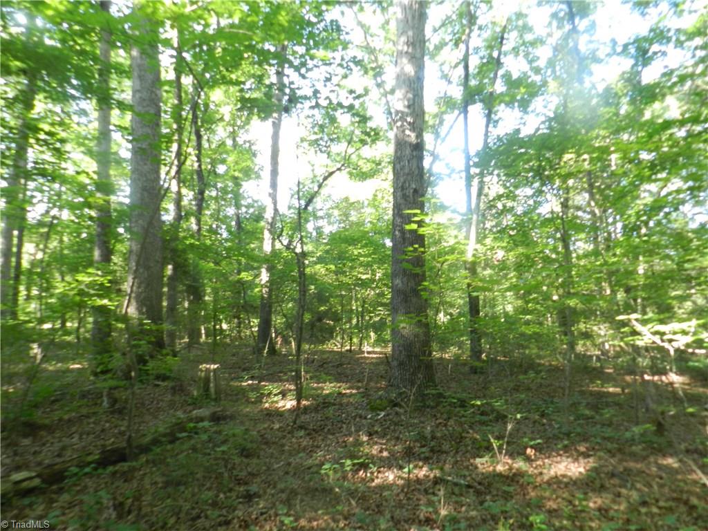 0 Dogwood Road Denton, NC 27239 - Photo 3 of 20 Gallery Image 3