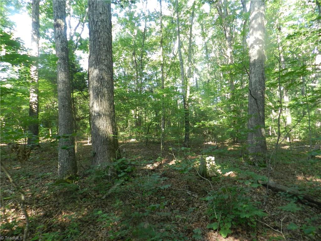 0 Dogwood Road Denton, NC 27239 - Photo 4 of 20 Gallery Image 4