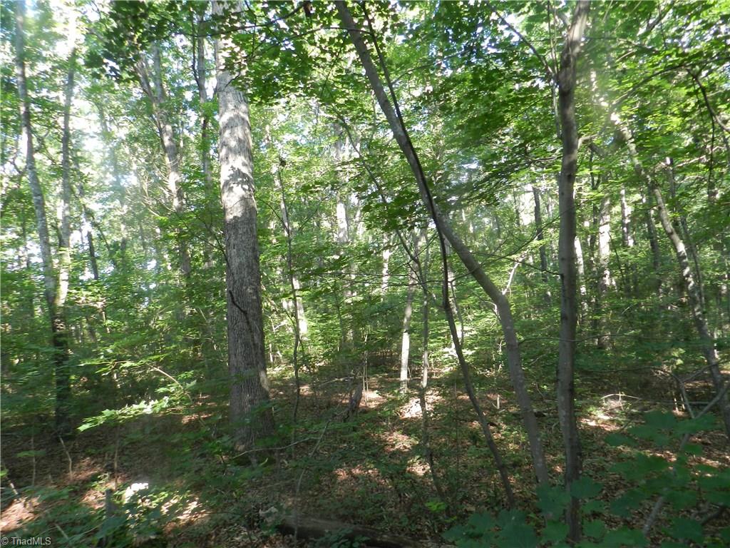 0 Dogwood Road Denton, NC 27239 - Photo 5 of 20 Gallery Image 5