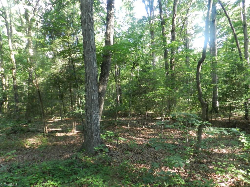 0 Dogwood Road Denton, NC 27239 - Photo 6 of 20 Gallery Image 6