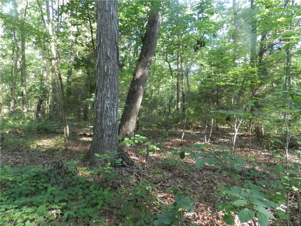 0 Dogwood Road Denton, NC 27239 - Photo 7 of 20 Gallery Image 7