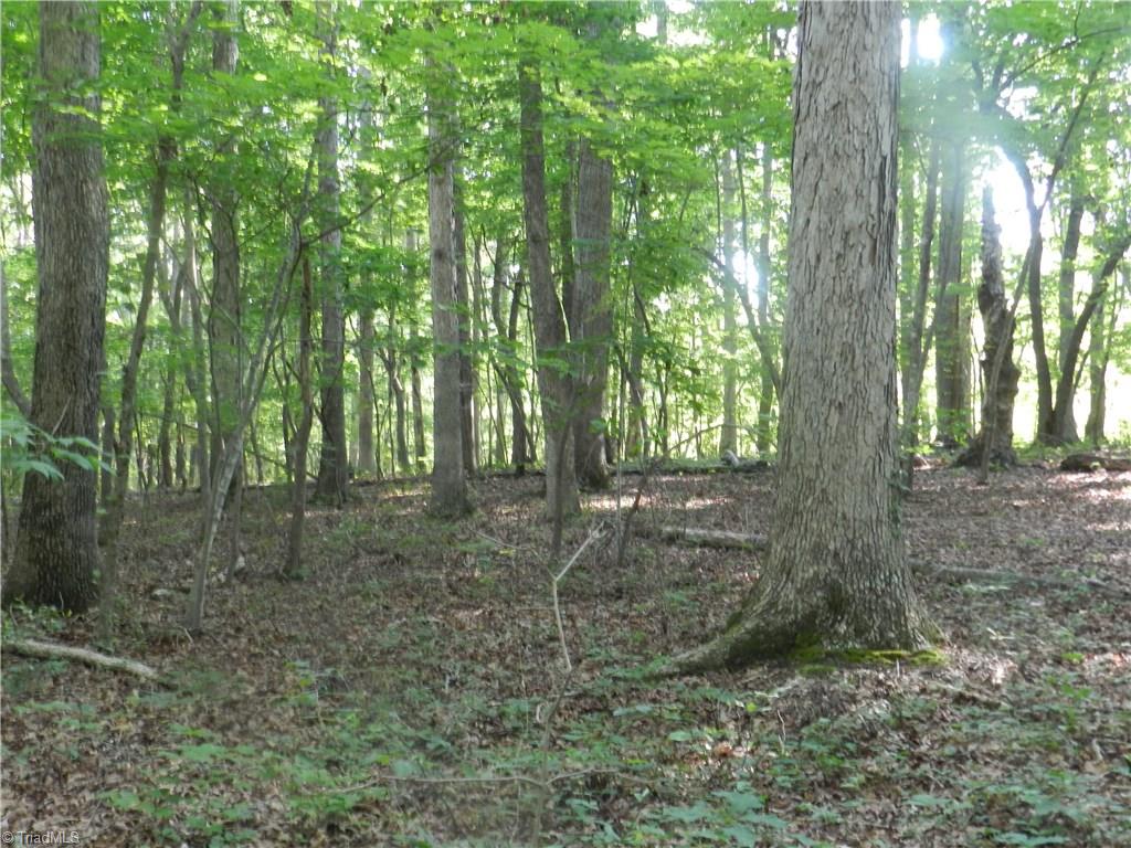 0 Dogwood Road Denton, NC 27239 - Photo 8 of 20 Gallery Image 8