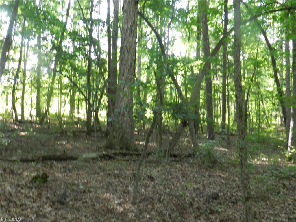 0 Dogwood Road Denton, NC 27239 - Photo 9 of 20 Gallery Image 9