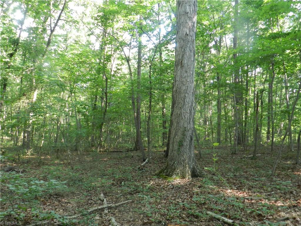 0 Dogwood Road Denton, NC 27239 - Photo 10 of 20 Gallery Image 10