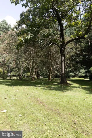 a view of outdoor space and yard