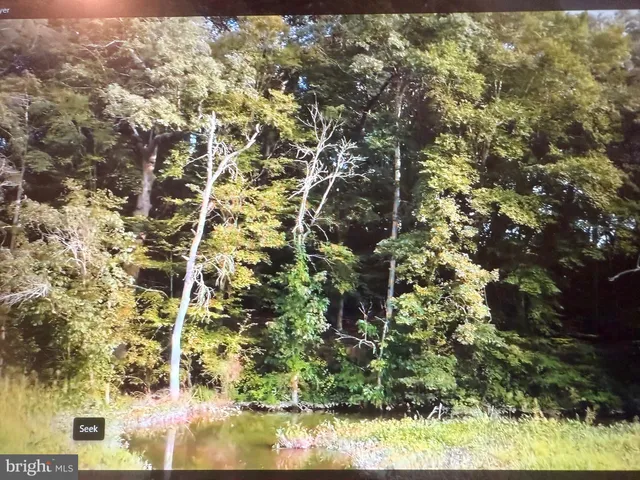 a view of swimming pool of the house