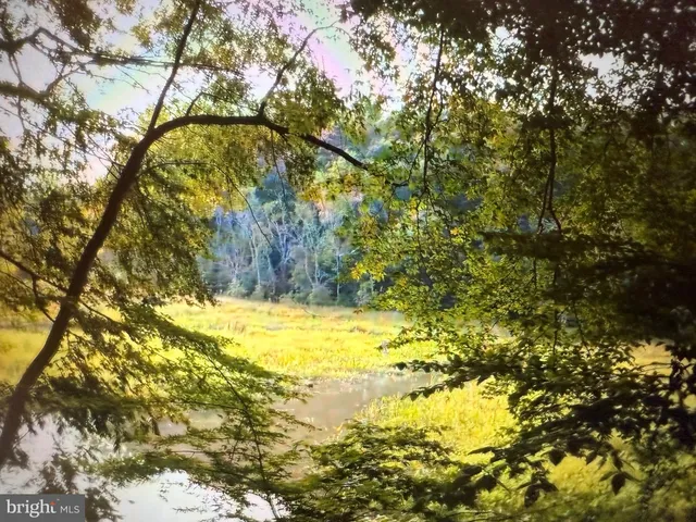 a view of lake with green space