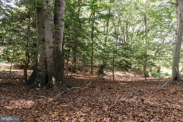 $199,900 | Lot#48 High Banks Drive, Easton, MD 21601