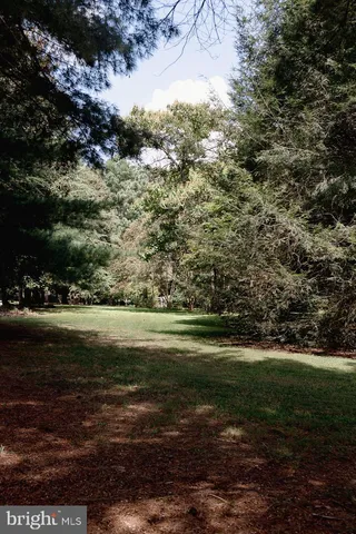 a view of outdoor space and yard