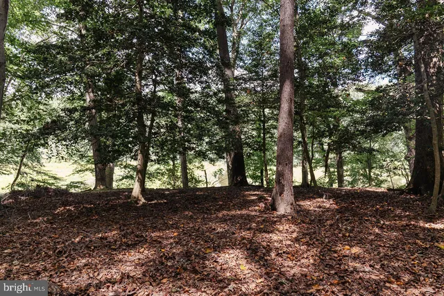 a view of outdoor space with trees