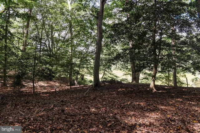 a view of a field with an trees