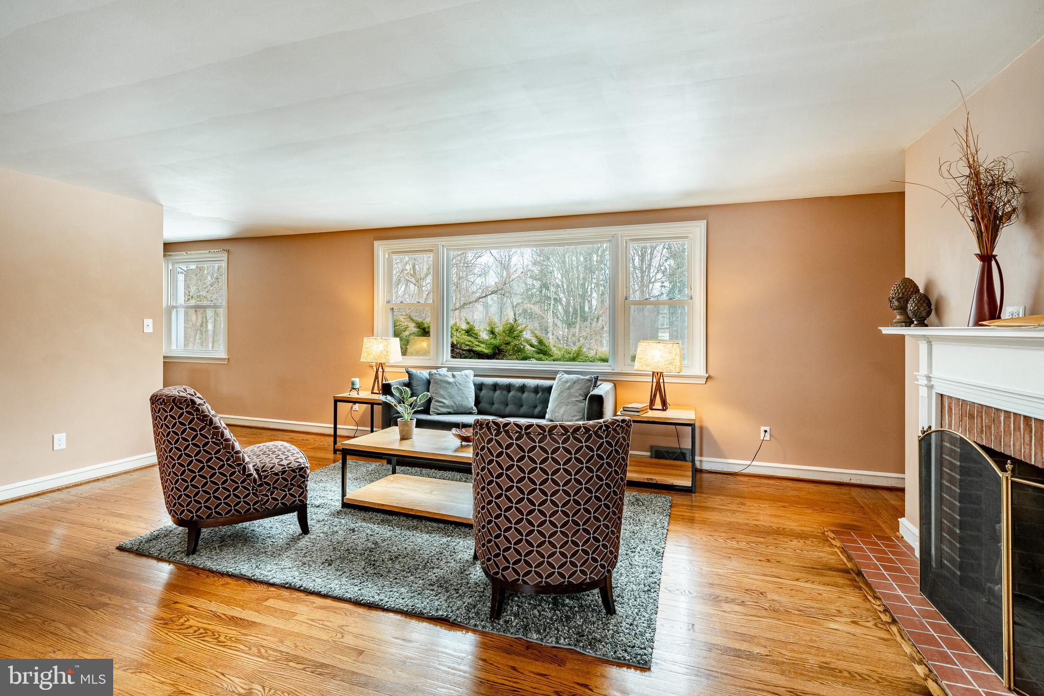 216 North Star Road Newark, DE 19711 - Photo 11 of 49 Living room