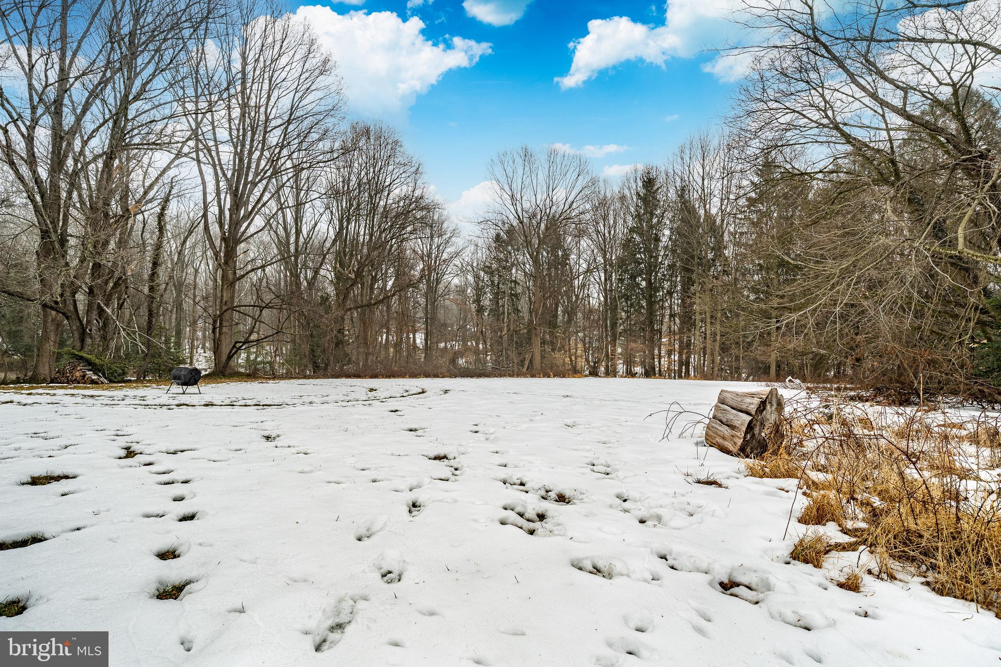 216 North Star Road Newark, DE 19711 - Photo 41 of 49 Back yard