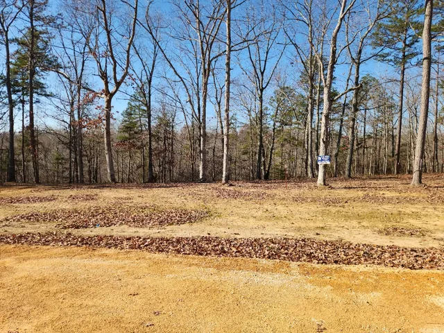 a view of yard covered with snow