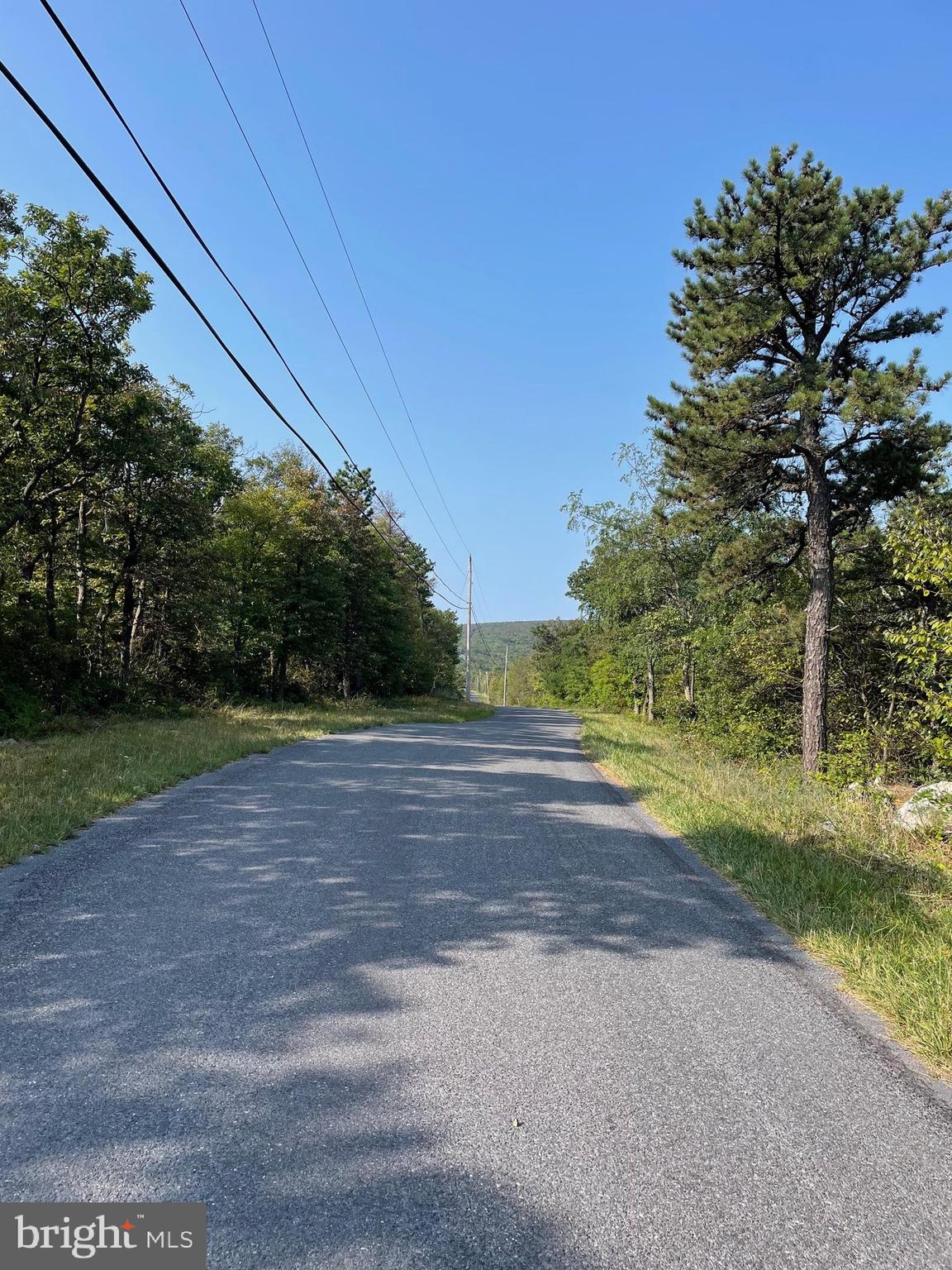 Lot 231 Timber Ridge Winchester, VA 22602 - Photo 3 of 12 a view of a yard with plants and trees